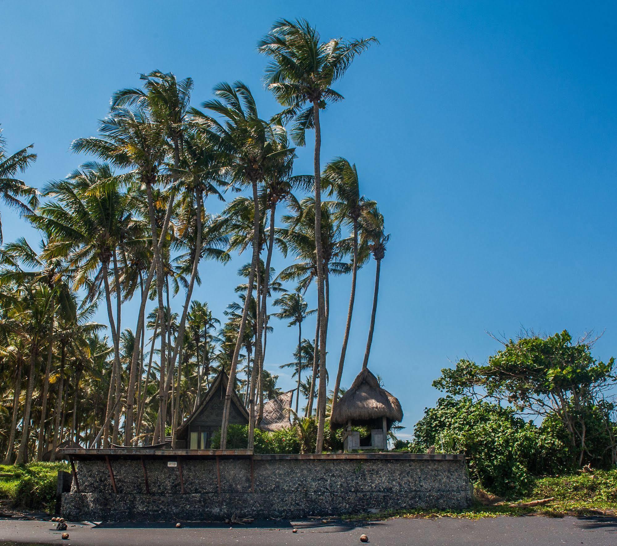 Most Exotic Beachfront Villa Keong Selemadeg Extérieur photo